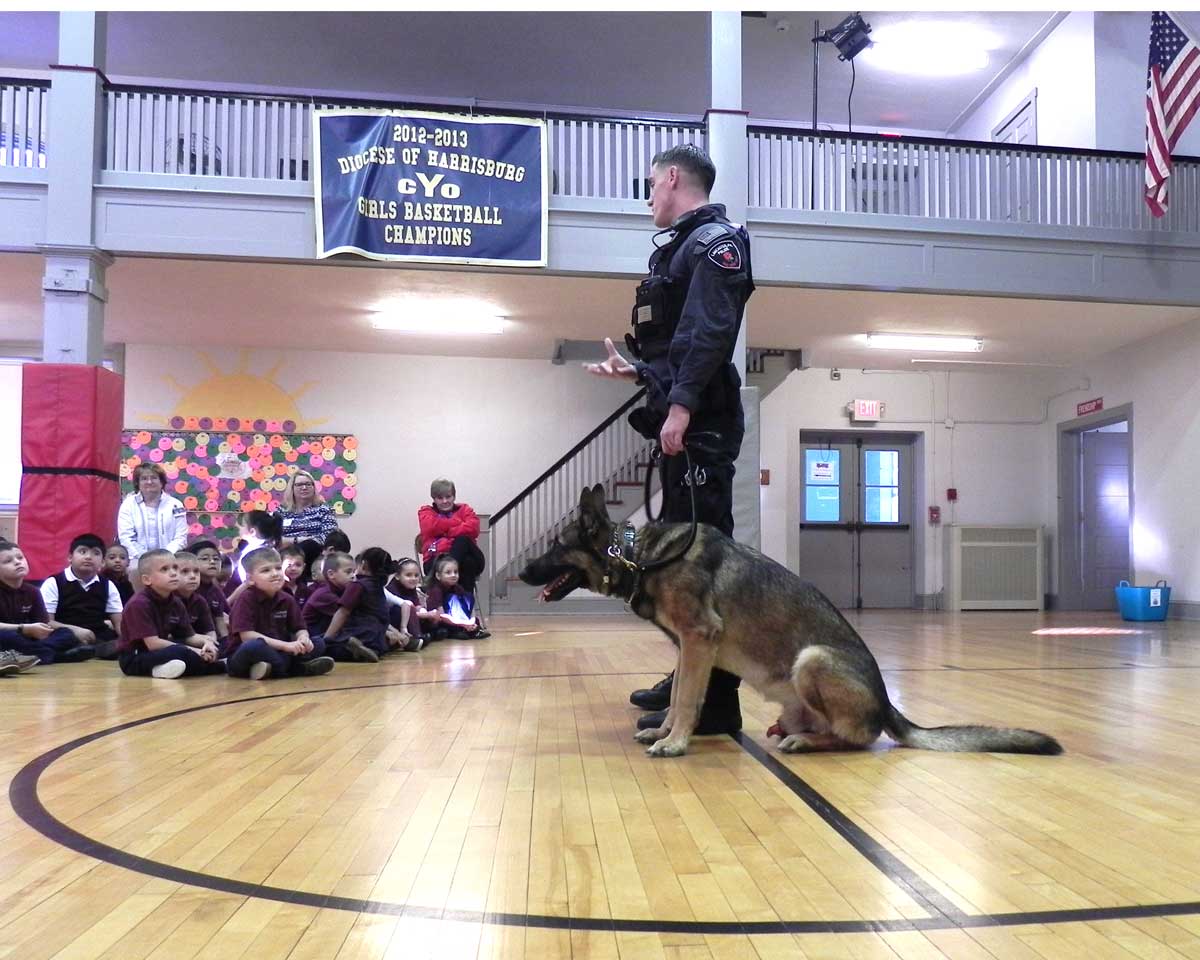 K 9 gym