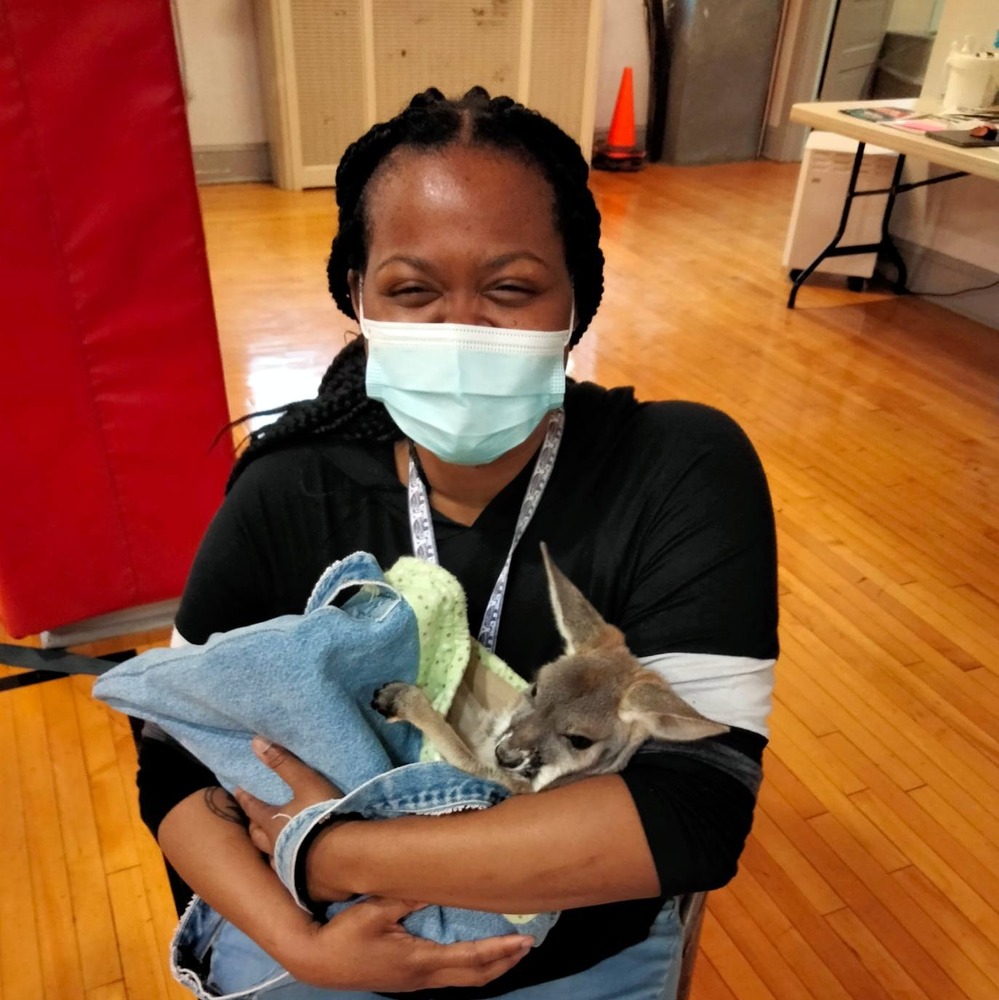 Kangaroos Visit RCS Faculty